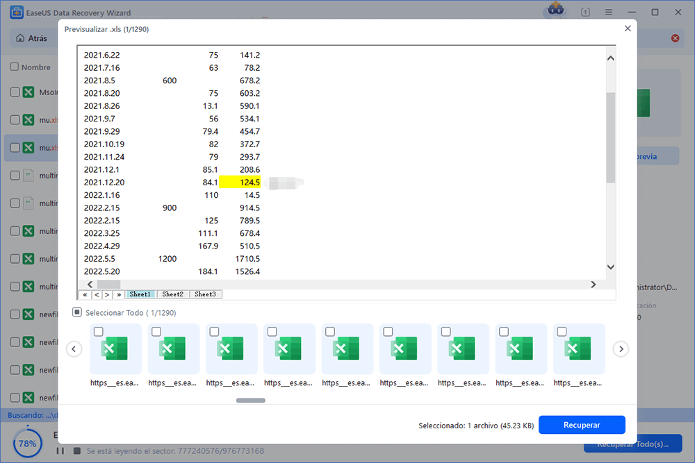 Previsualizar y recuperar los archivos Excel.