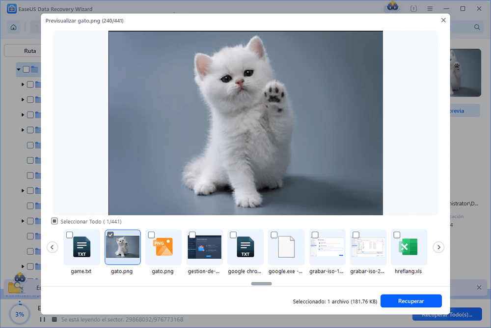 Recuperar los archivos formateados con EaseUS Data Recovery Wizard.